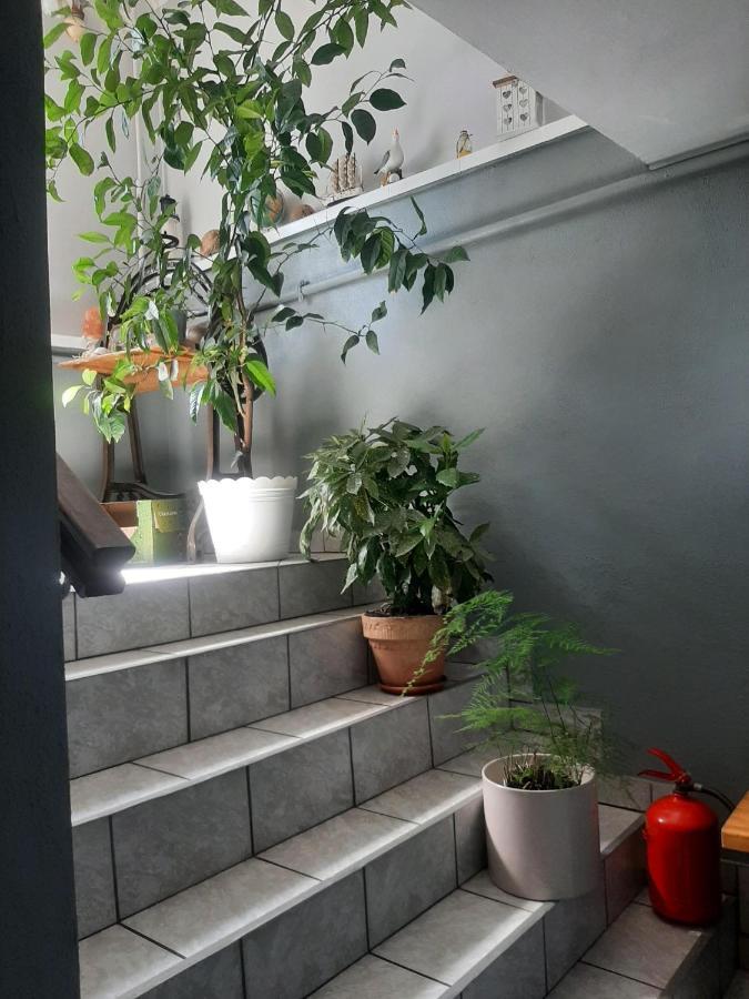 Pokoje Goscinne Cuma Łeba Dış mekan fotoğraf