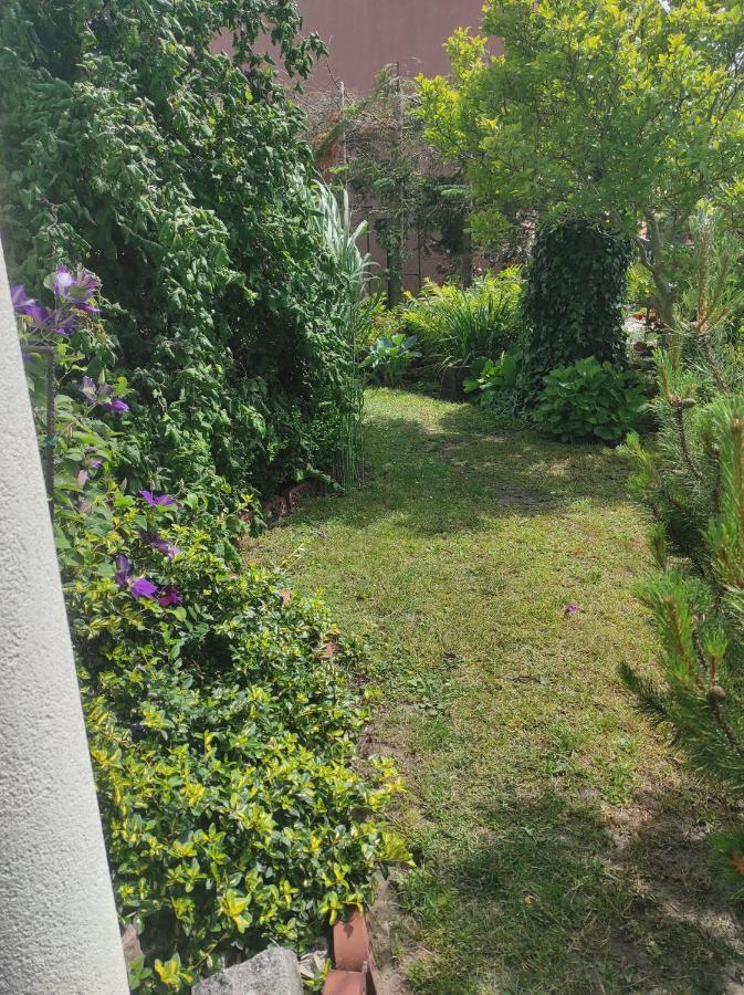 Pokoje Goscinne Cuma Łeba Dış mekan fotoğraf