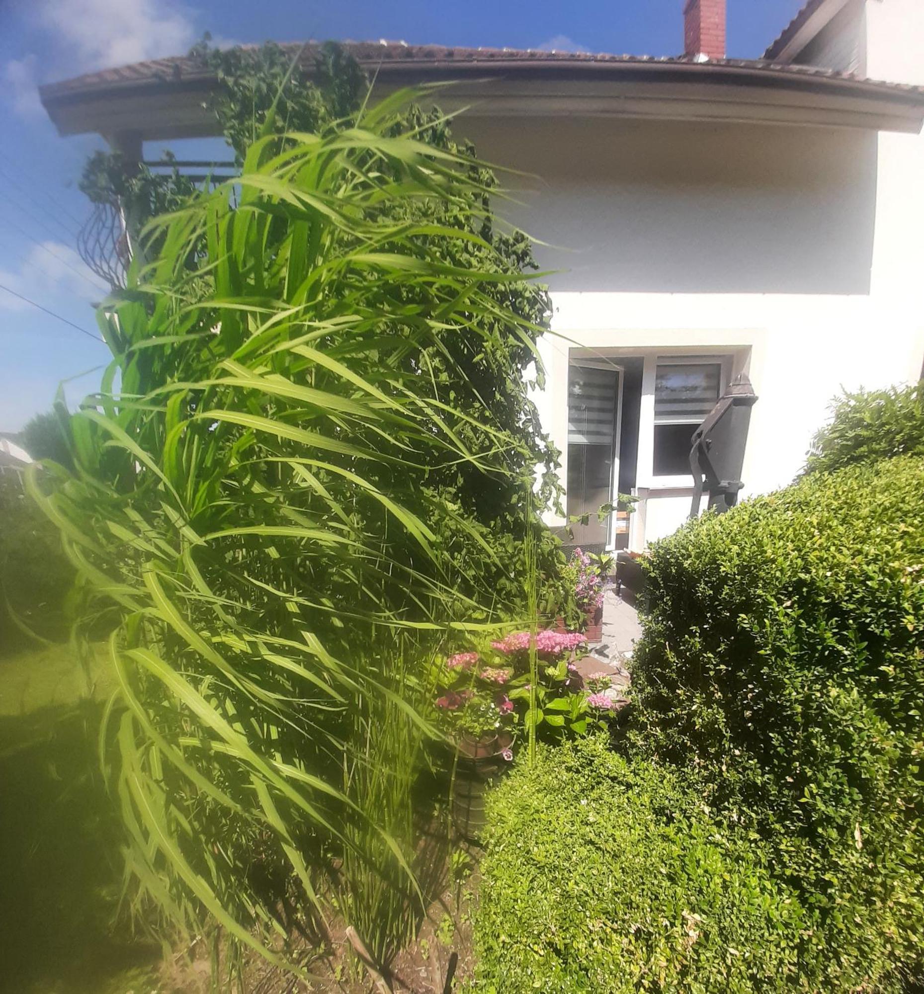 Pokoje Goscinne Cuma Łeba Oda fotoğraf